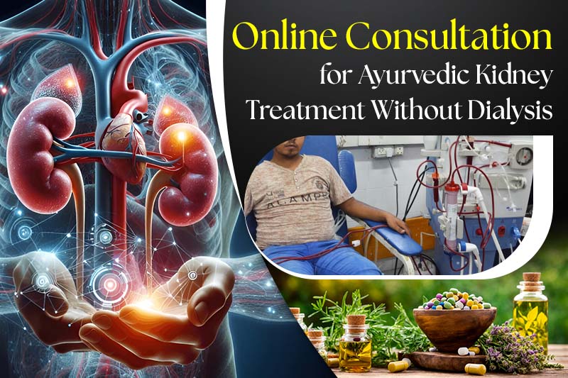Online Ayurvedic Kidney Consultation for USA Patients